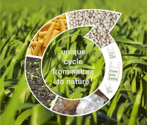 find your best healthy food