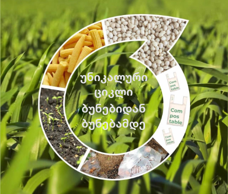 find your best healthy food