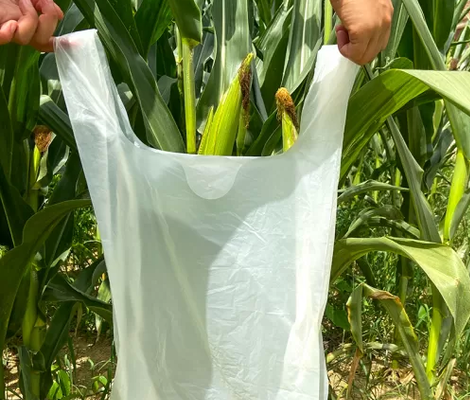 attractive dish for yoy